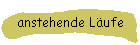 anstehende Läufe