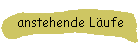 anstehende Lufe